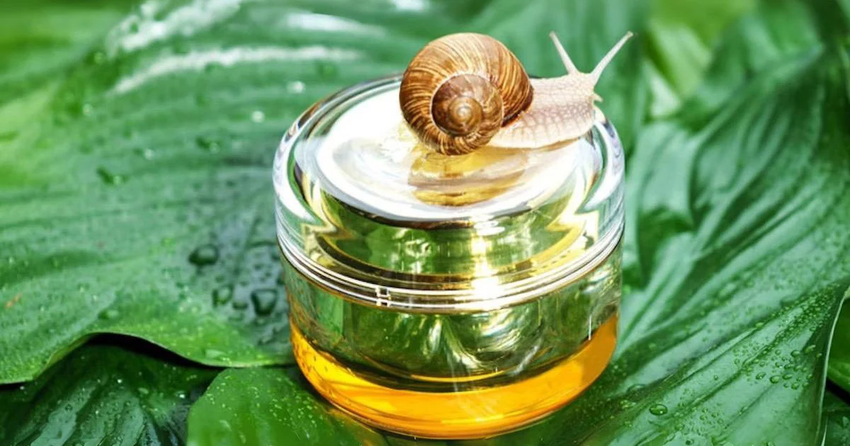 Bava di lumaca e cosmesi: proprietà, benefici e INCI