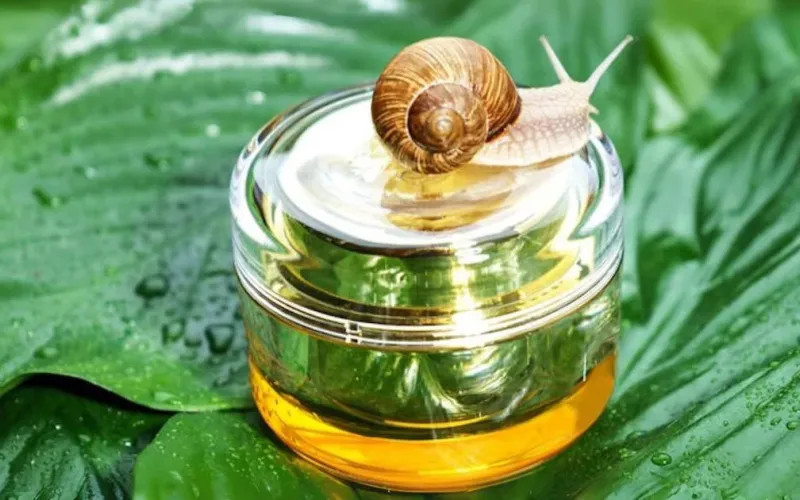 Bava di lumaca e cosmesi: proprietà, benefici e INCI
